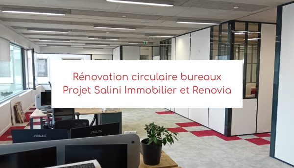 Demenagement Lyon 2, Salini Immobilier contractant général