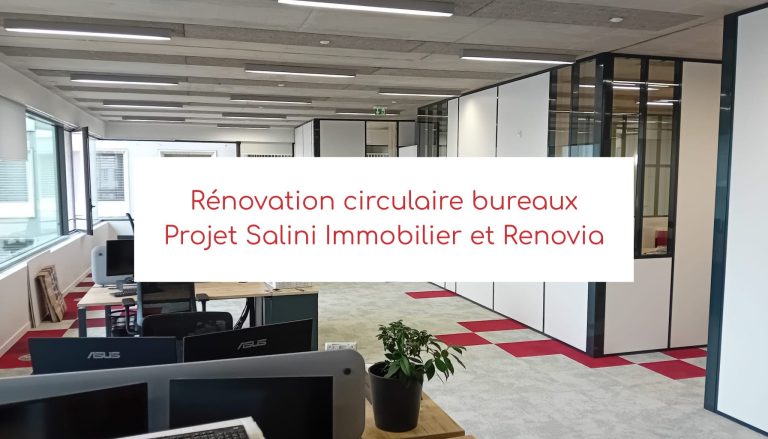 Demenagement Lyon 2, Salini Immobilier contractant général